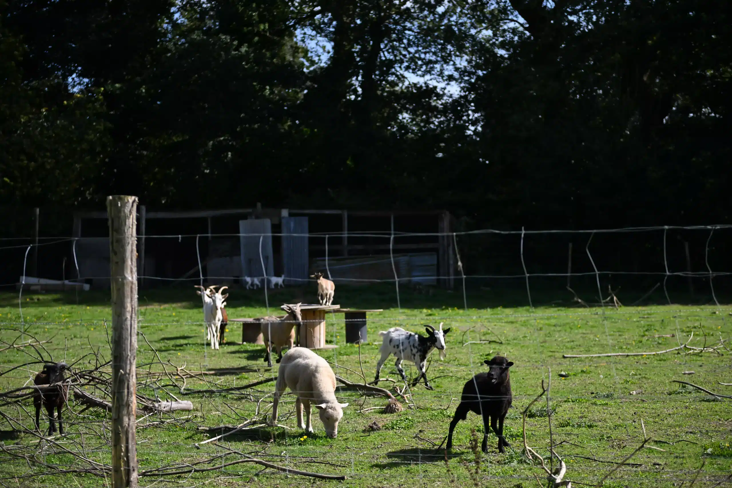Ferme pédagogique Ty Familh